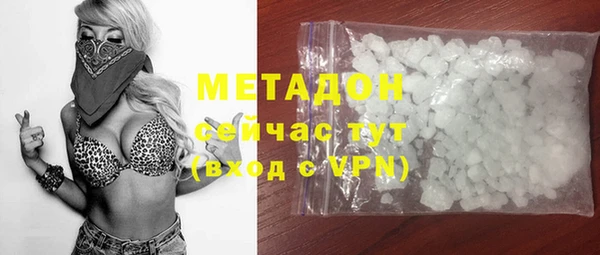 сатива Заводоуковск