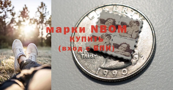 сатива Заводоуковск