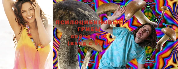 сатива Заводоуковск
