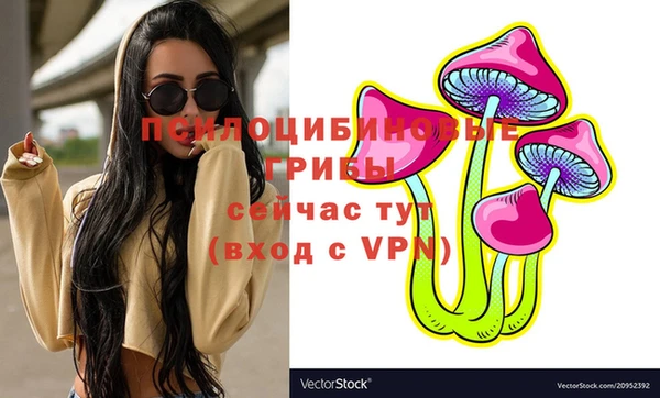 твердый Зеленокумск