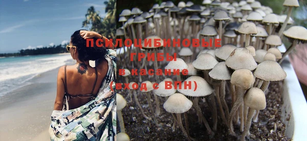твердый Зеленокумск