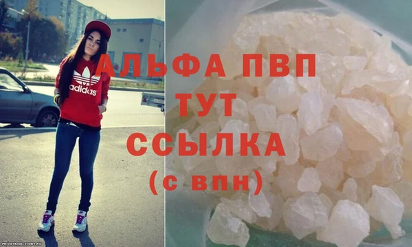 сатива Заводоуковск