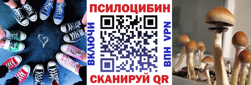 Галлюциногенные грибы Cubensis  купить закладку  Инта 