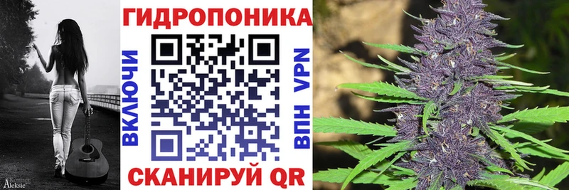mega tor  что такое   Инта  маркетплейс официальный сайт  Каннабис планчик 